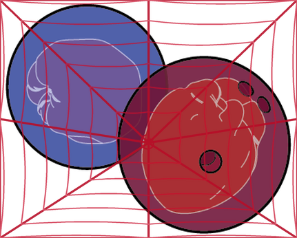Two overlapping circular icons illustrating a stylized heart and a stylized brain